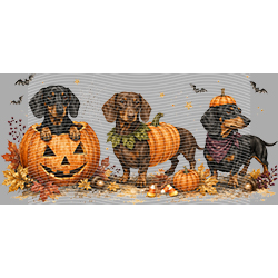 Halloween-WS 11999